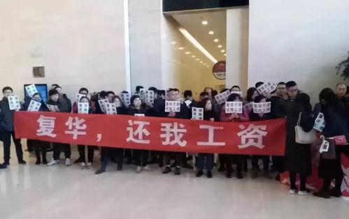 石家庄爆料讨薪案件最新,维权之路上的艰难与希望